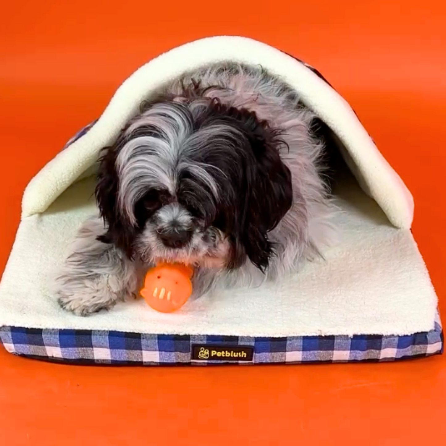 Petblush Cushioned Den Bed For Cats and Small Dogs