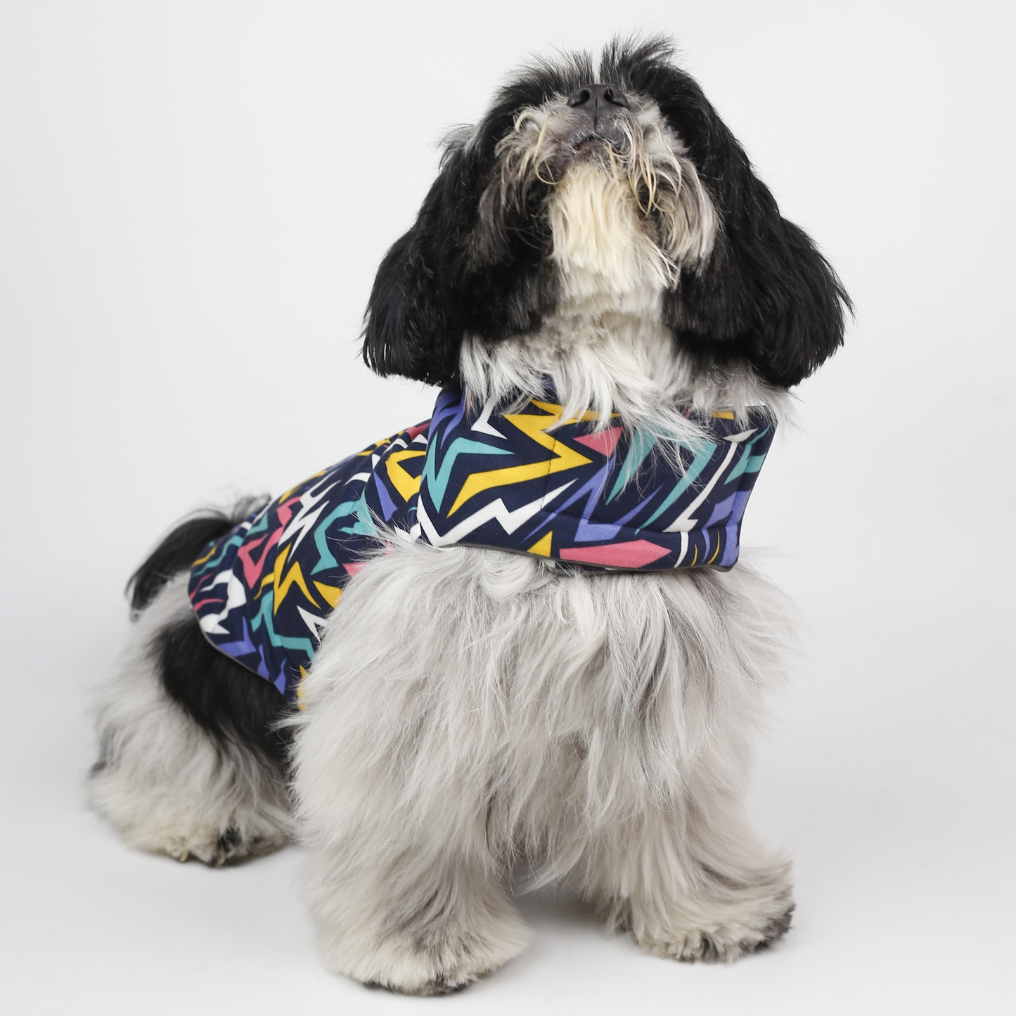 Petblush Emojis & Abstract Reversible Velvet Jacket For Dogs