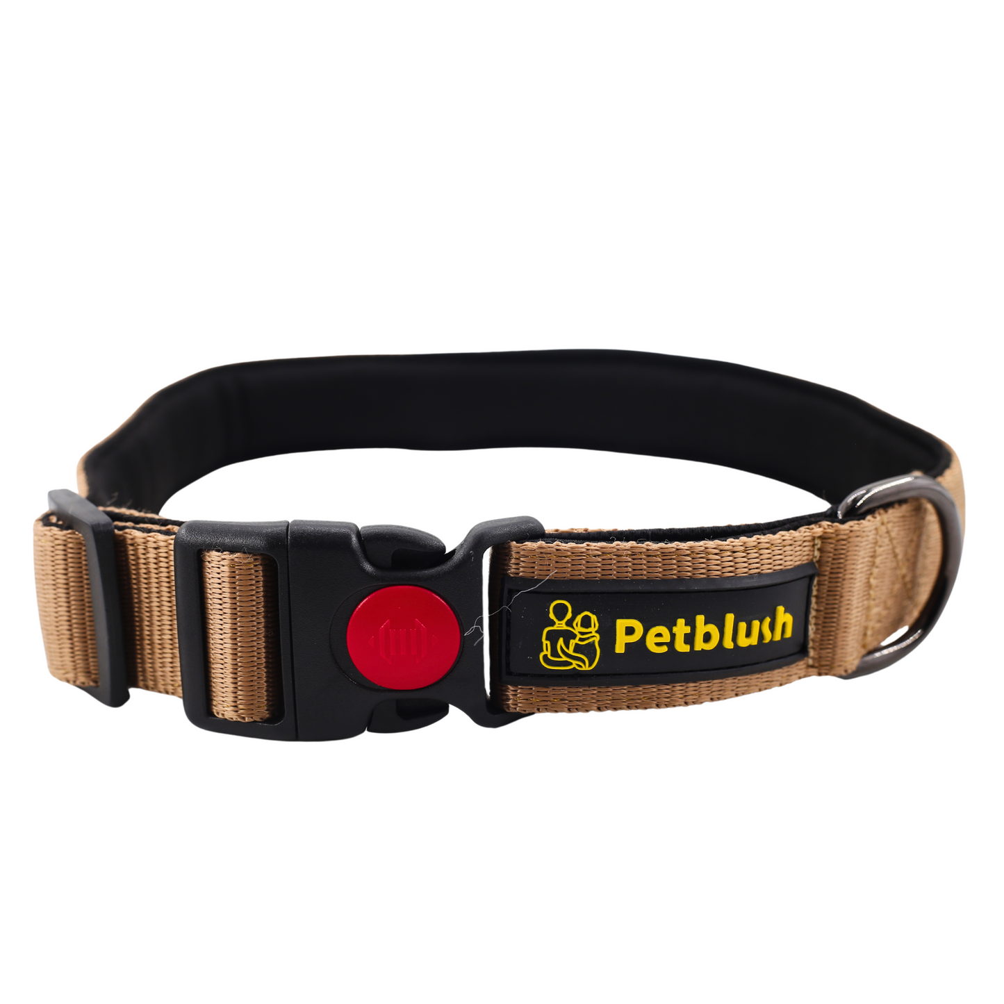 Petblush Bold Padded Collars with Lock Buckle