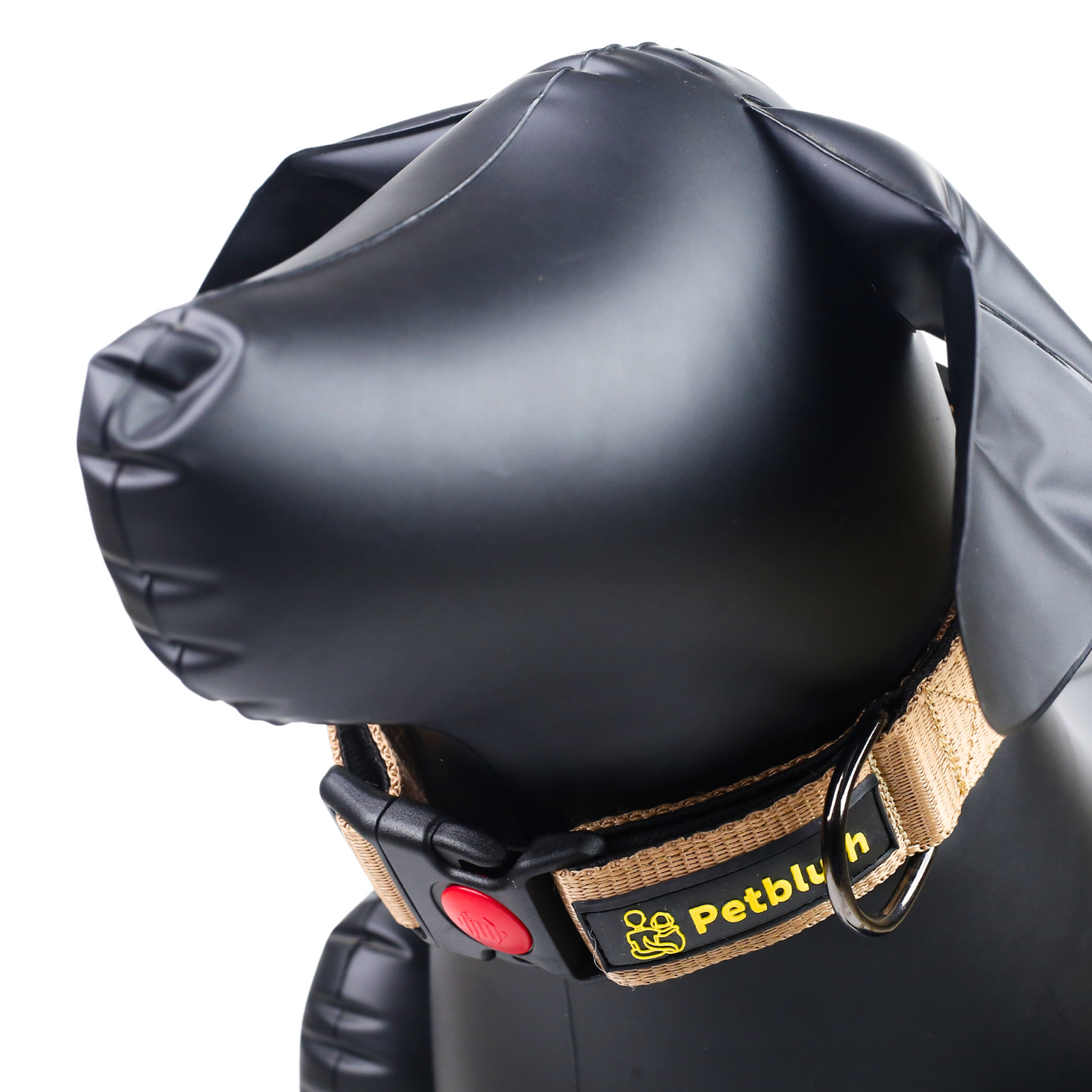 Petblush Bold Padded Collars with Lock Buckle