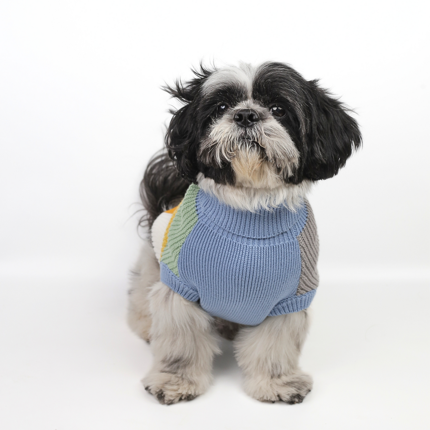 Petblush Multicolor Blocks High Neck Knit Sweater For Dogs
