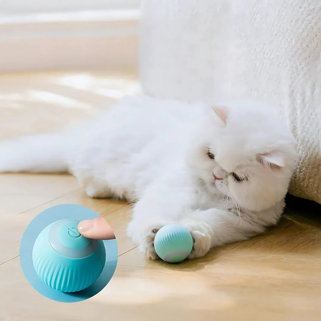 Petblush Rotating Cat Toy Ball