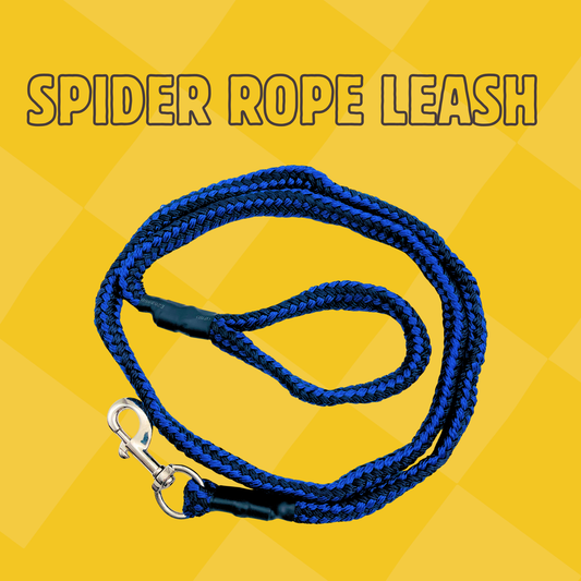 Petblush Stock Spider Rope Leash For Dogs