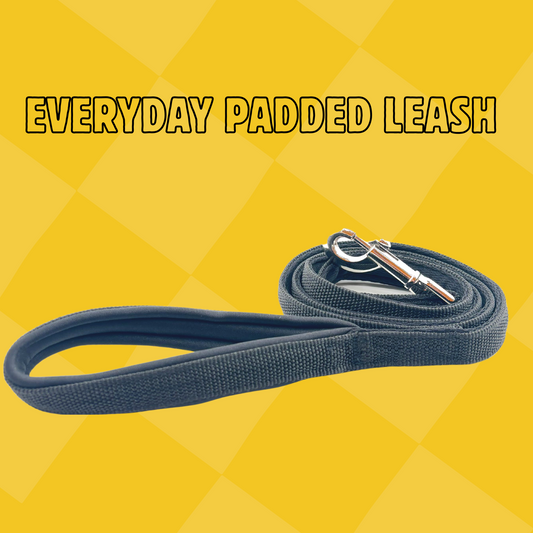 Petblush Everyday Full Padded Leash For Dogs