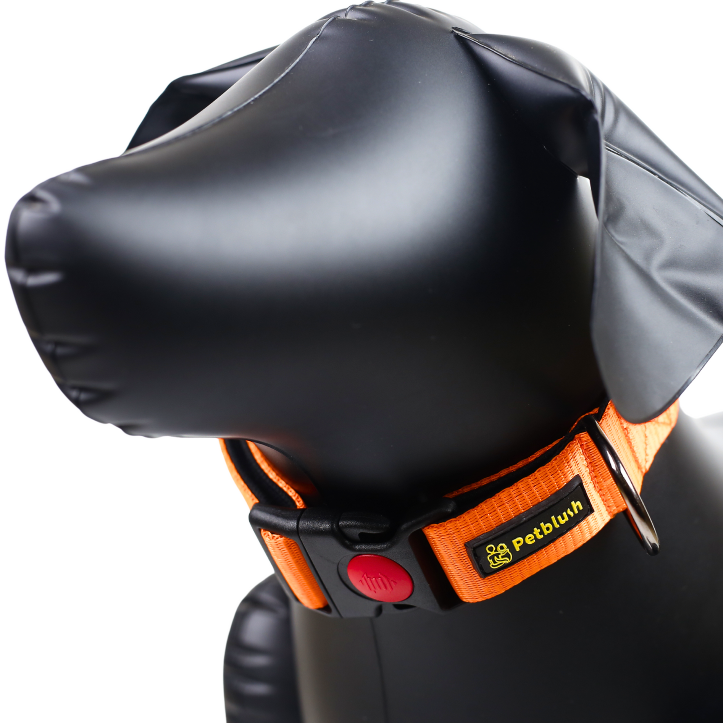 Petblush Bold Padded Collars with Lock Buckle