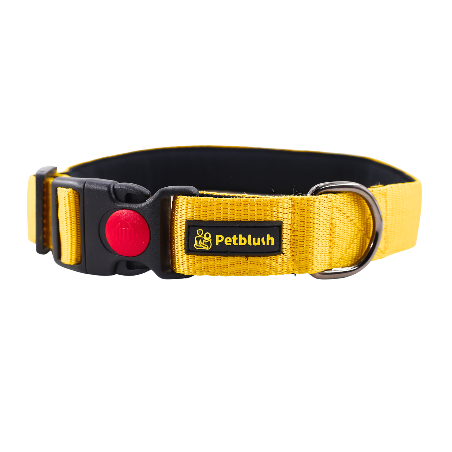 Petblush Bold Padded Collars with Lock Buckle