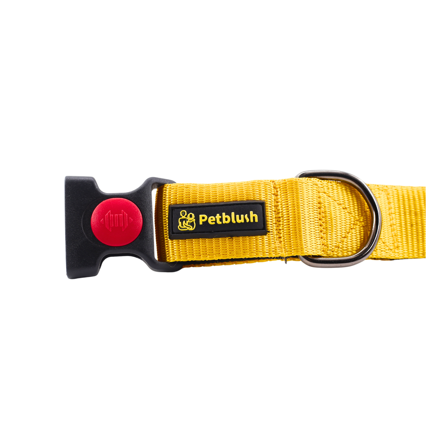 Petblush Bold Padded Collars with Lock Buckle