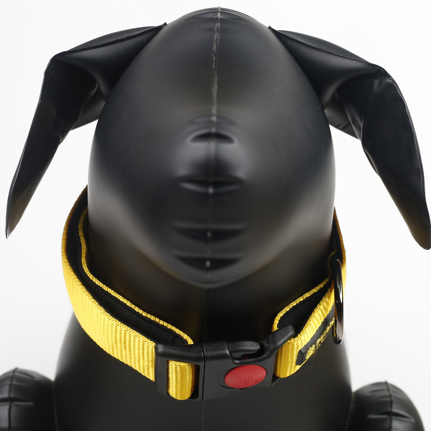 Petblush Bold Padded Collars with Lock Buckle