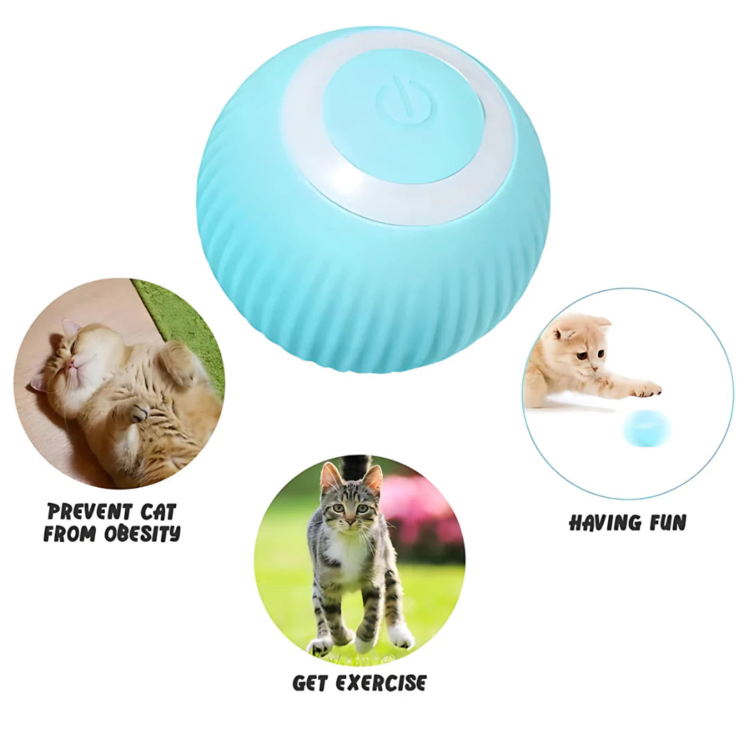 Petblush Rotating Cat Toy Ball