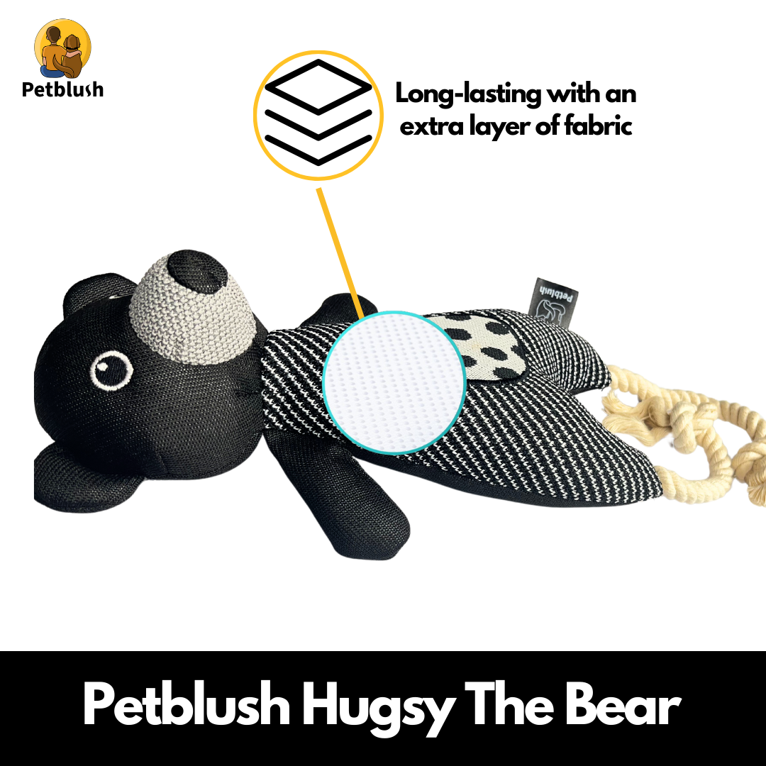Petblush Hugsy The Bear Plush Toy for Dogs