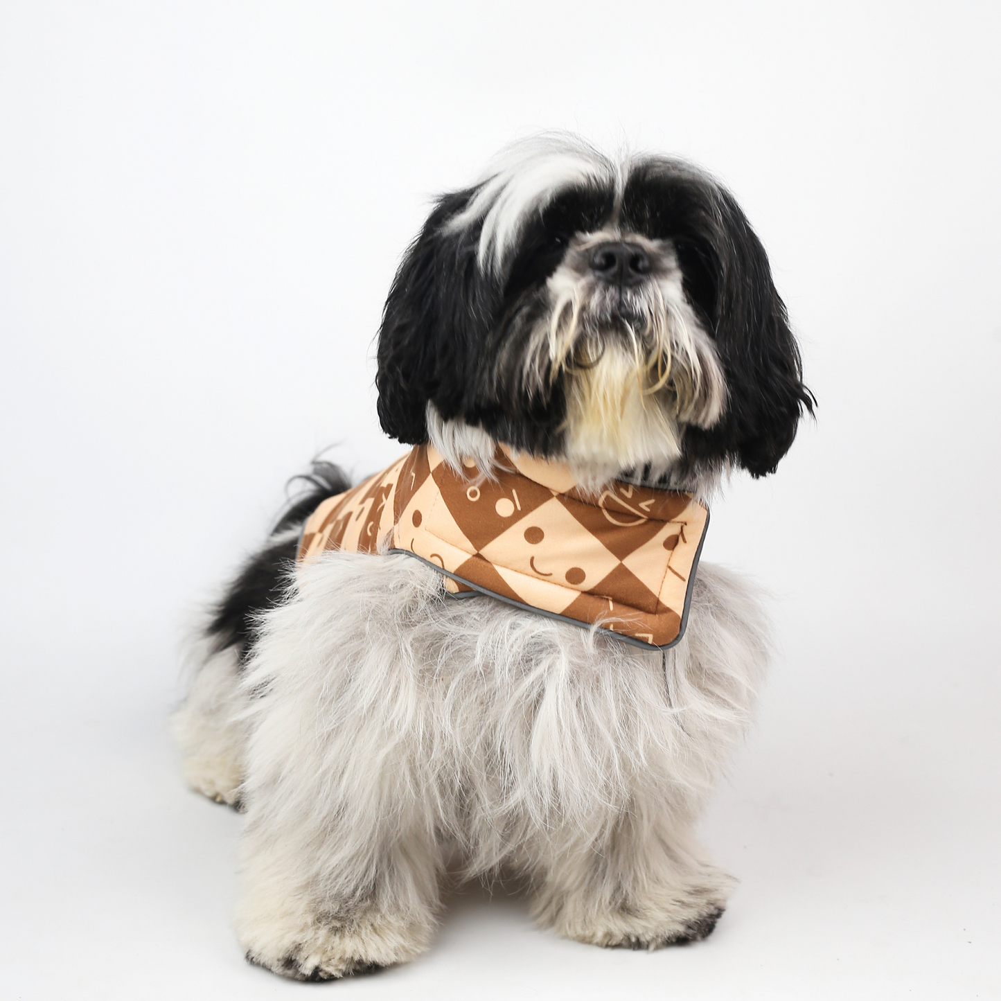 Petblush Emojis & Abstract Reversible Velvet Jacket For Dogs