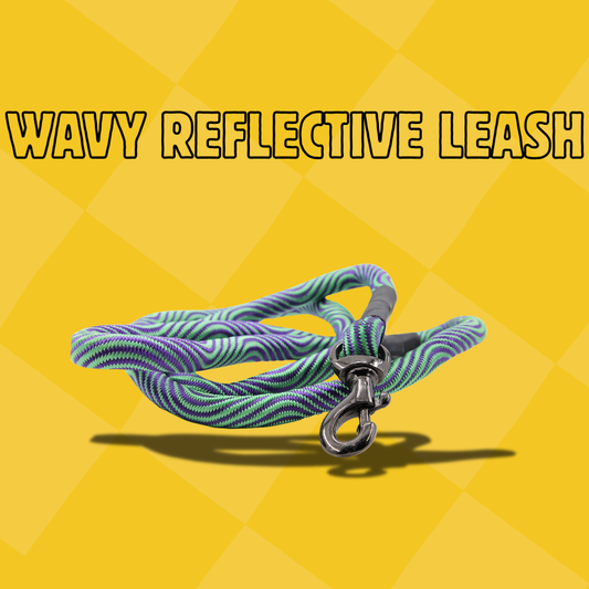 Petblush Reflective Wavy Rope Leash For Dogs