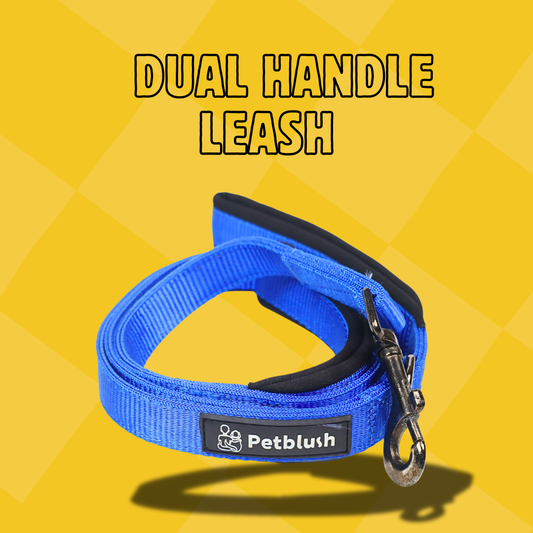 Petblush Classic Padded Double Handle Leash For Dogs
