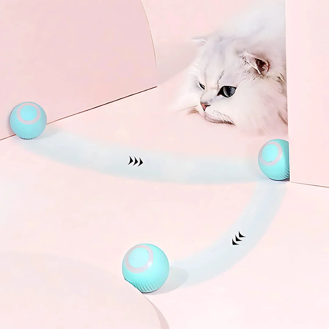 Petblush Rotating Cat Toy Ball