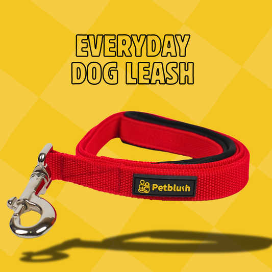 Petblush Everyday Dog Leash with Padded Handle