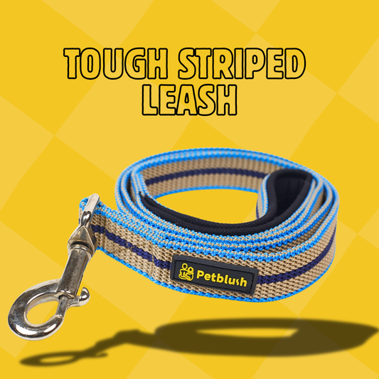 Petblush Tough Striped Leash For Dogs