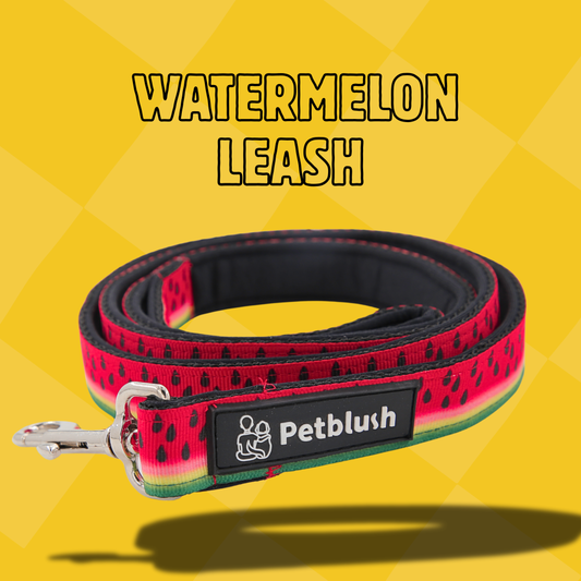 Petblush Watermelon Print Padded Handle Leash