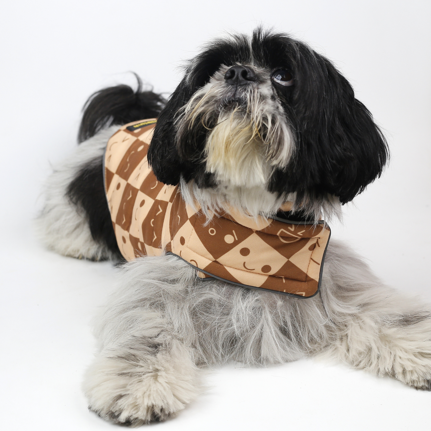 Petblush Emojis & Abstract Reversible Velvet Jacket For Dogs