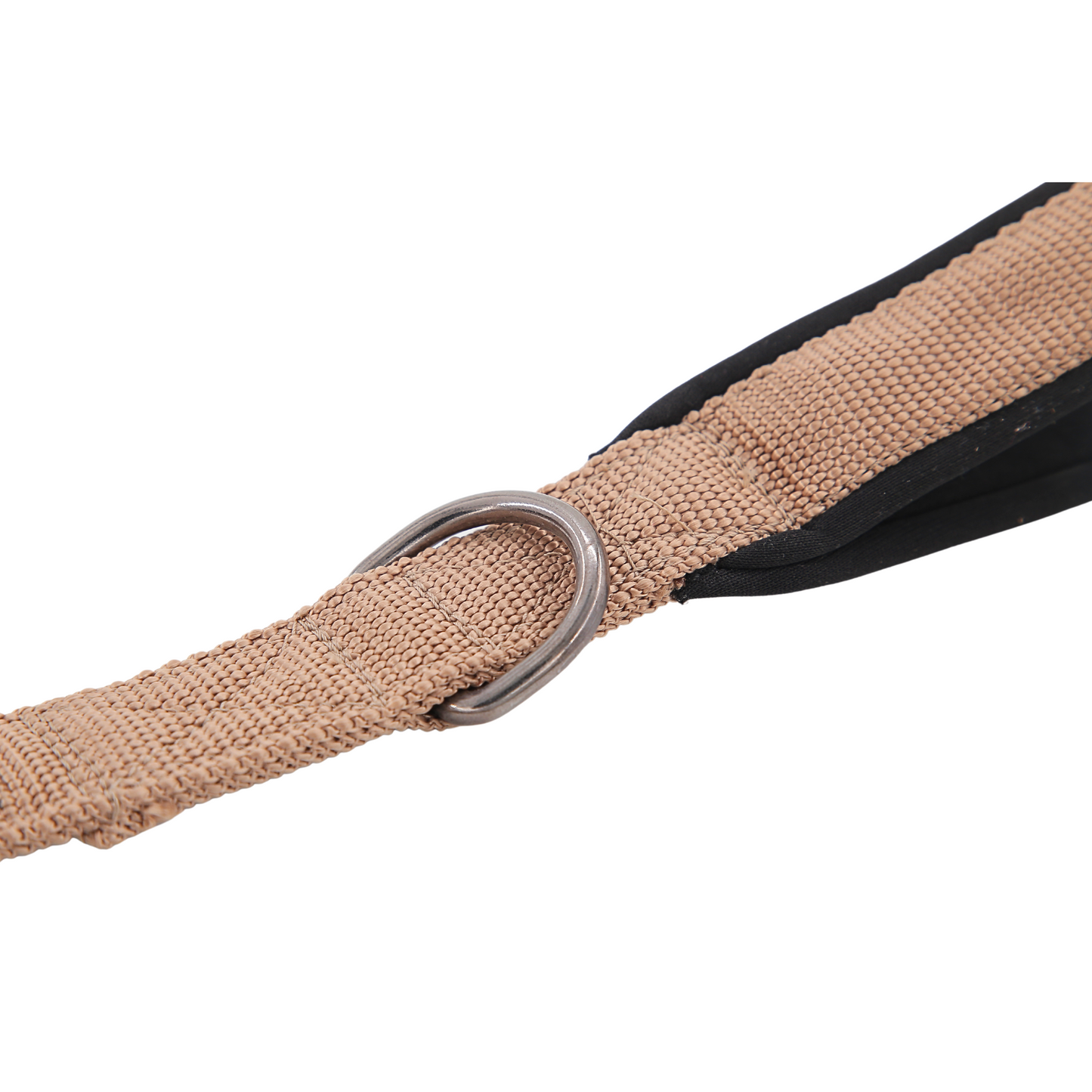 Petblush Classic Padded Double Handle Leash For Dogs