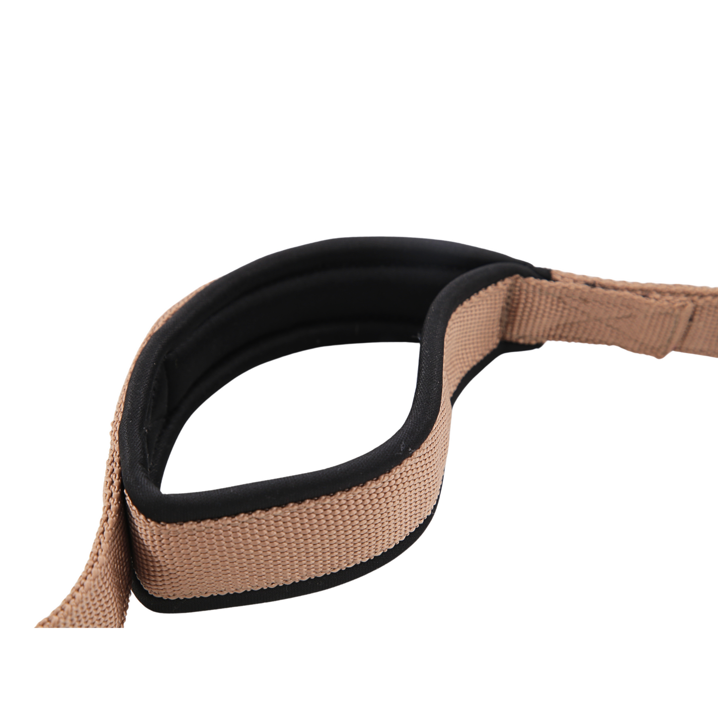 Petblush Classic Padded Double Handle Leash For Dogs