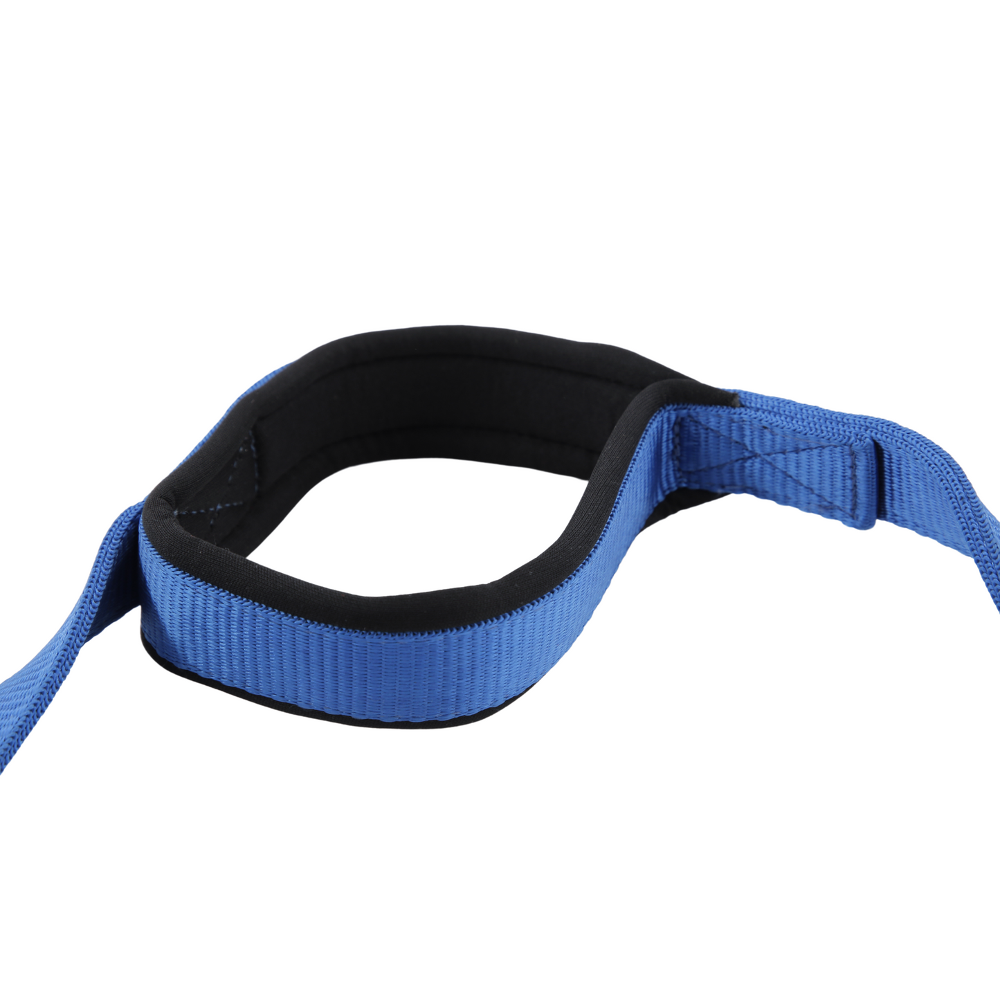Petblush Classic Padded Double Handle Leash For Dogs