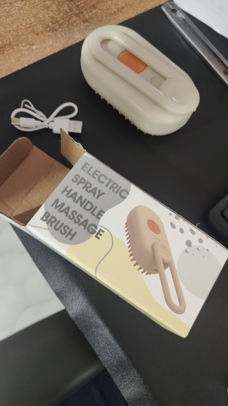 Steam Brush with Handle for Dogs and Cats