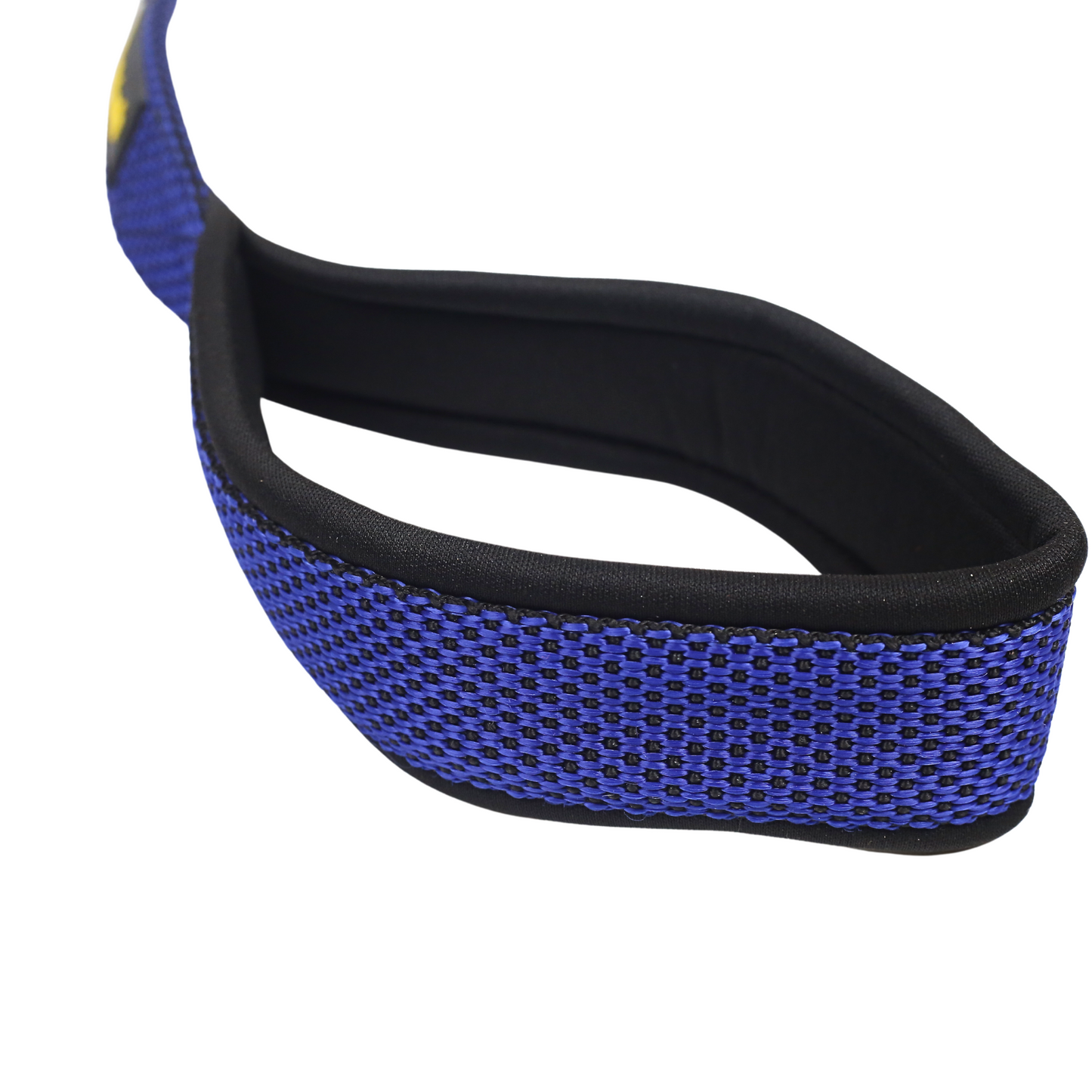 Petblush Dotted Padded Handle Leash