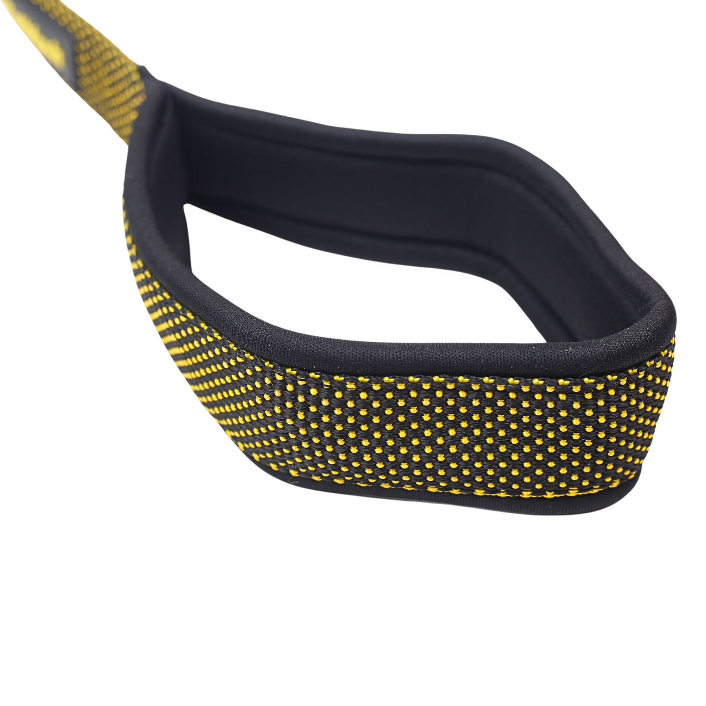 Petblush Dotted Padded Handle Leash