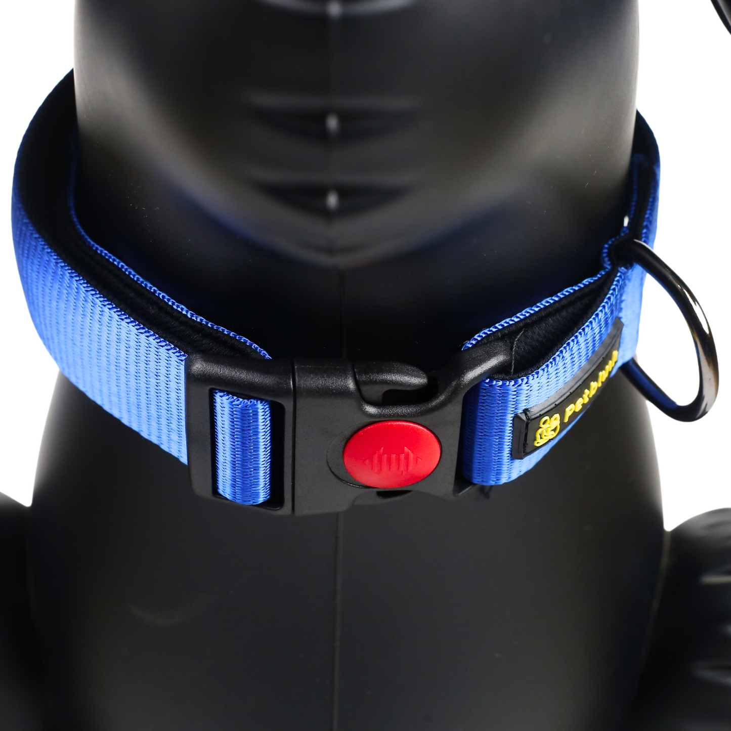 Petblush Bold Padded Collars with Lock Buckle