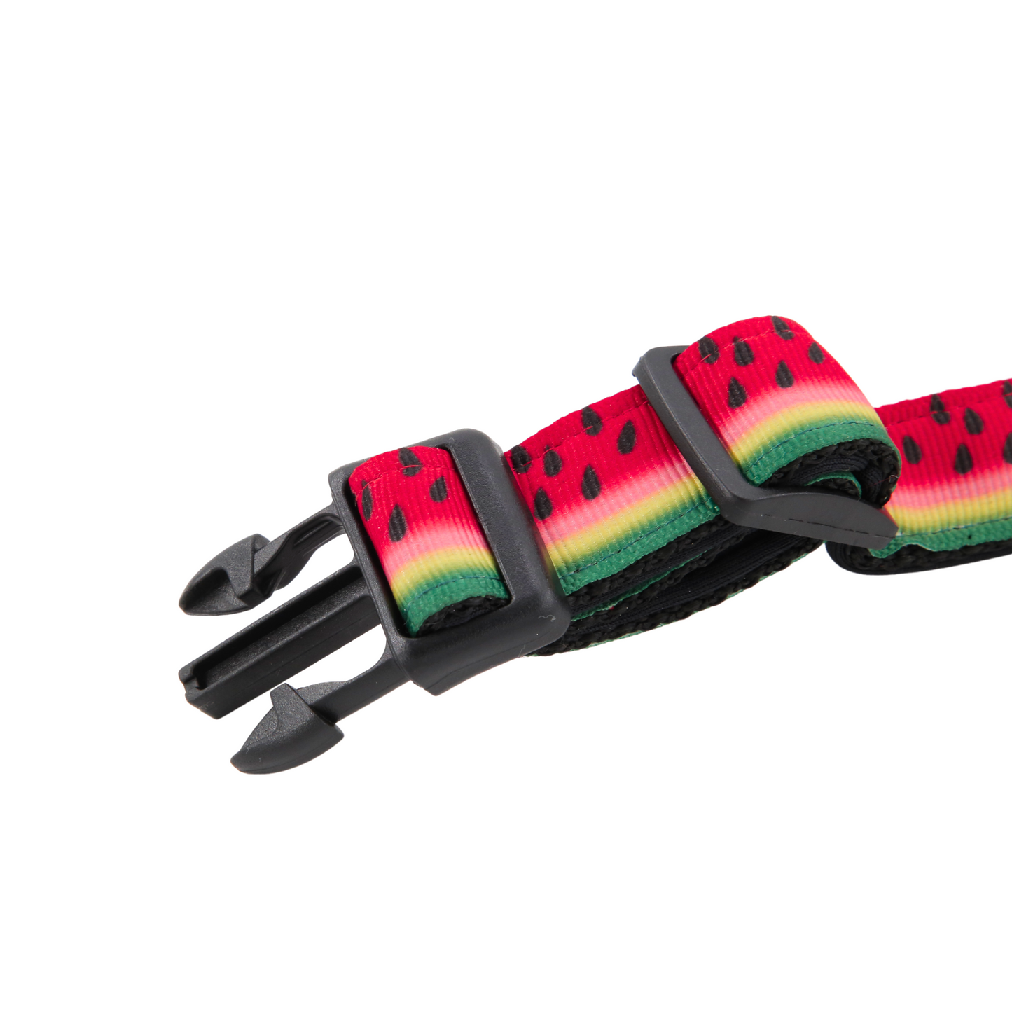 Petblush Watermelon Print Padded Collar