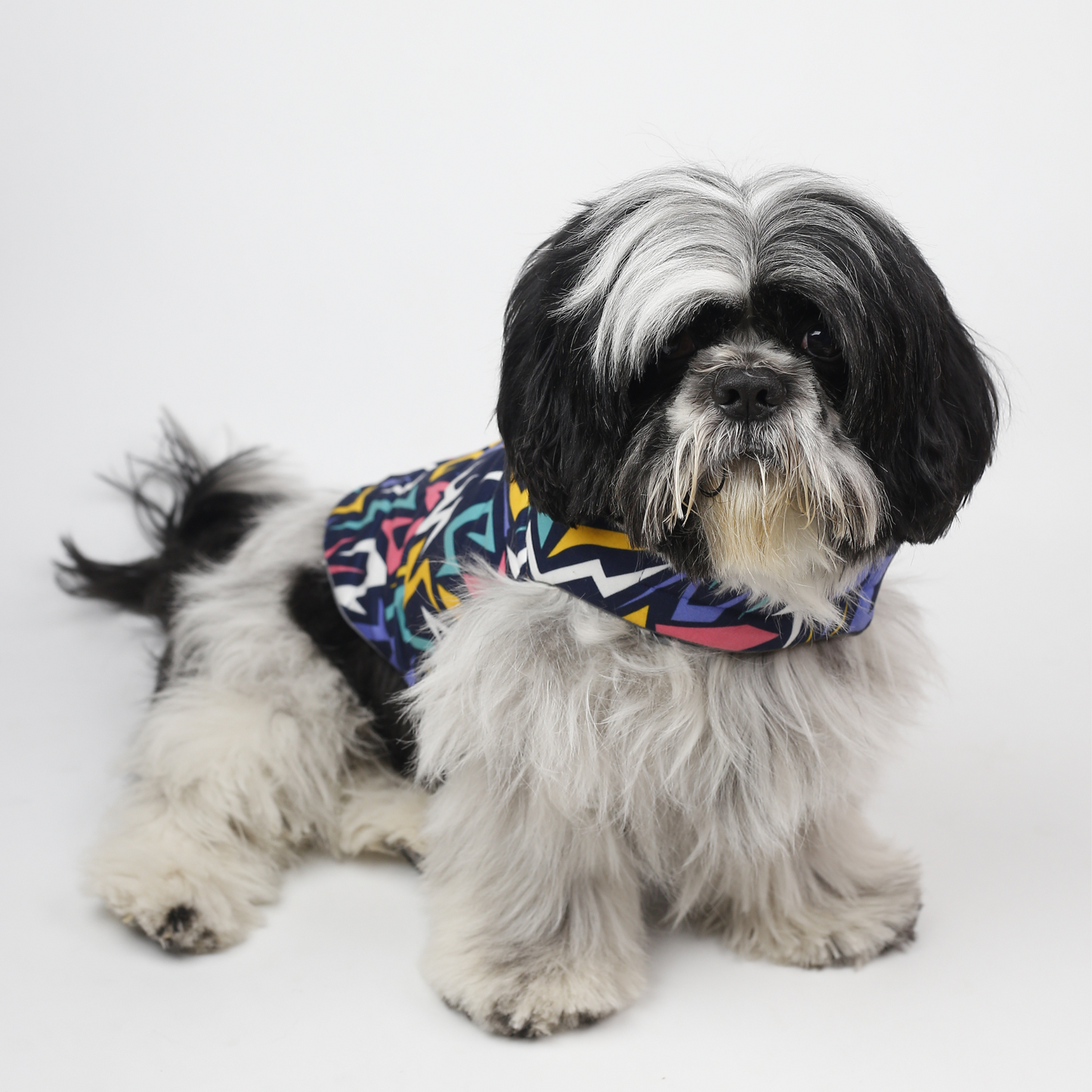 Petblush Emojis & Abstract Reversible Velvet Jacket For Dogs
