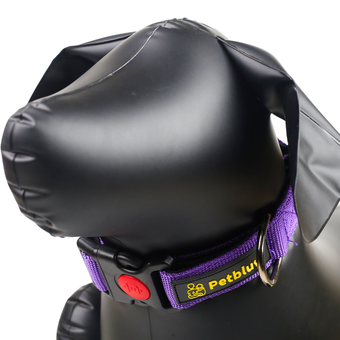 Petblush Premium Solid Padded Collar With Lock Buckle For Dogs
