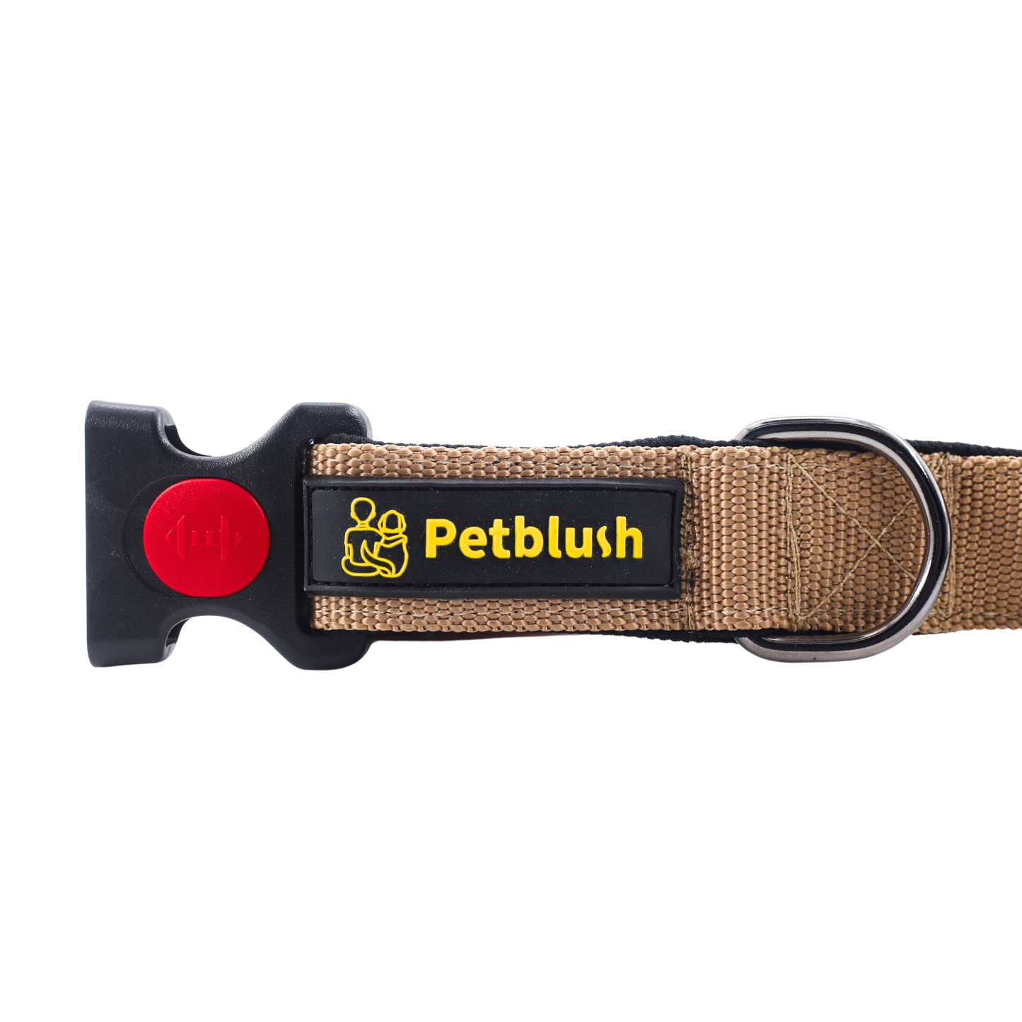 Petblush Premium Solid Padded Collar With Lock Buckle For Dogs