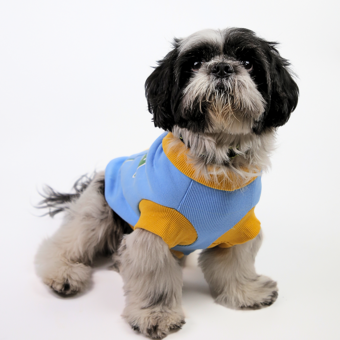 Petblush 3D Turtle Pocket Sweatshirt For Dogs
