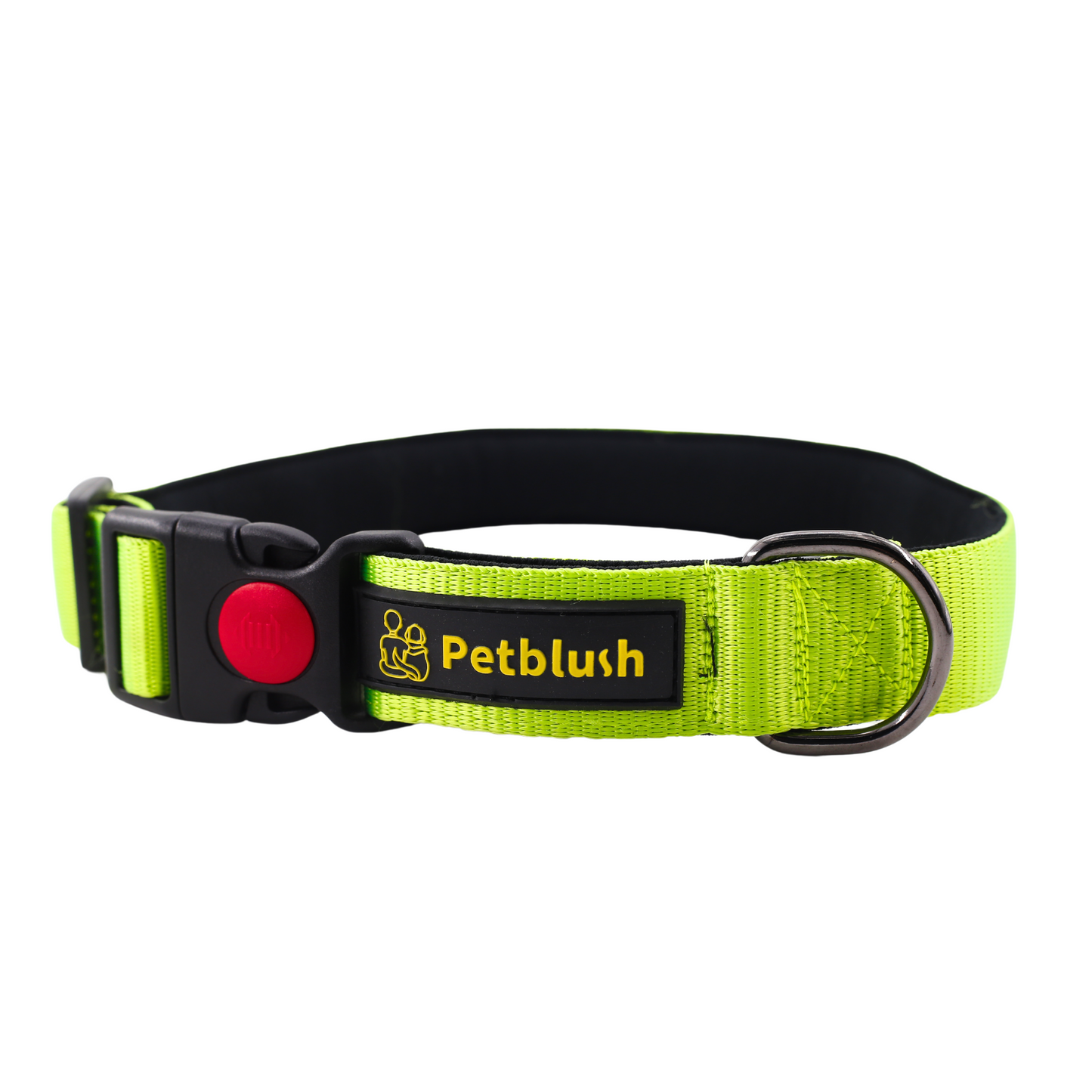 Petblush Bold Padded Collars with Lock Buckle