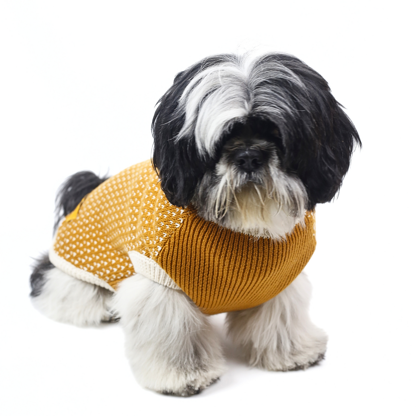 Petblush Natural Mustard High Neck Knit Sweater For Dogs