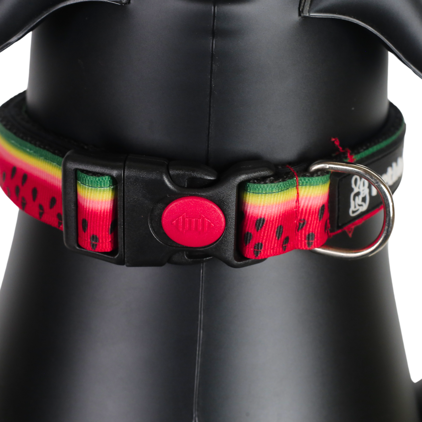 Petblush Watermelon Print Padded Collar