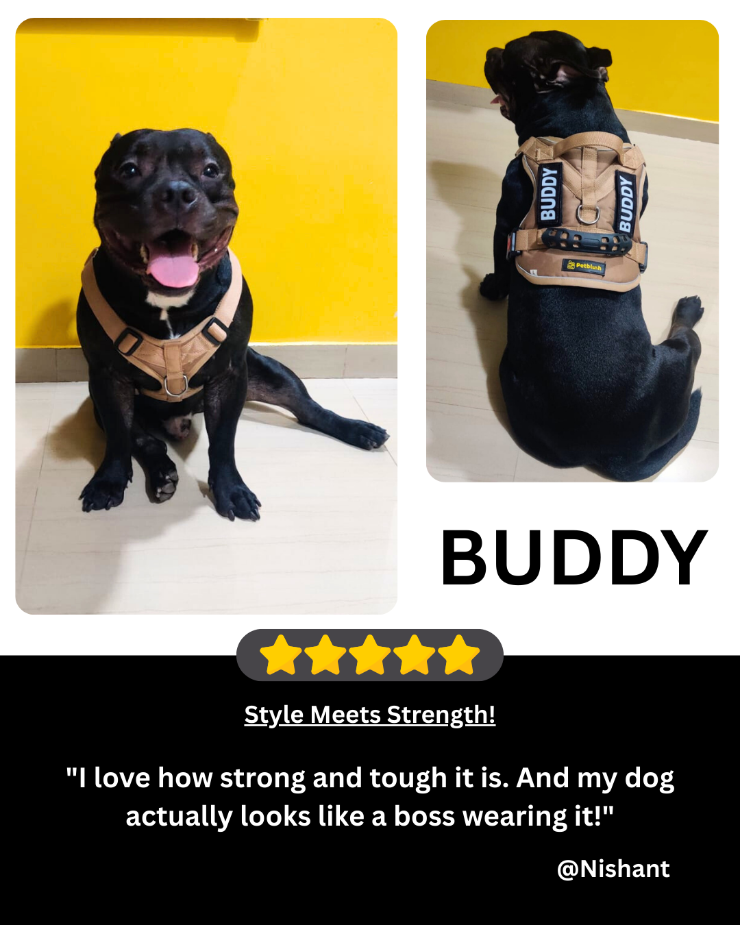 Petblush Tactical Harness for Dogs