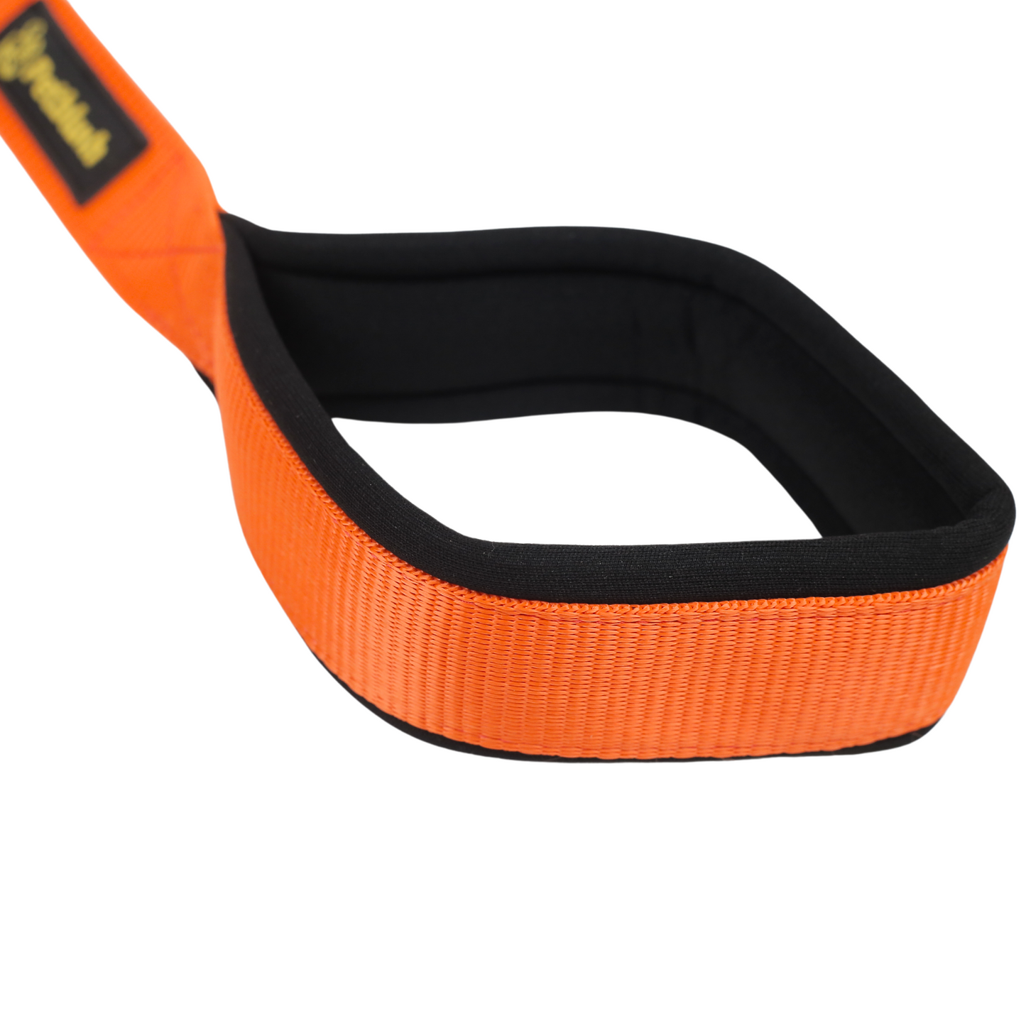 Petblush Classic Double Stitched Padded Handle Leash
