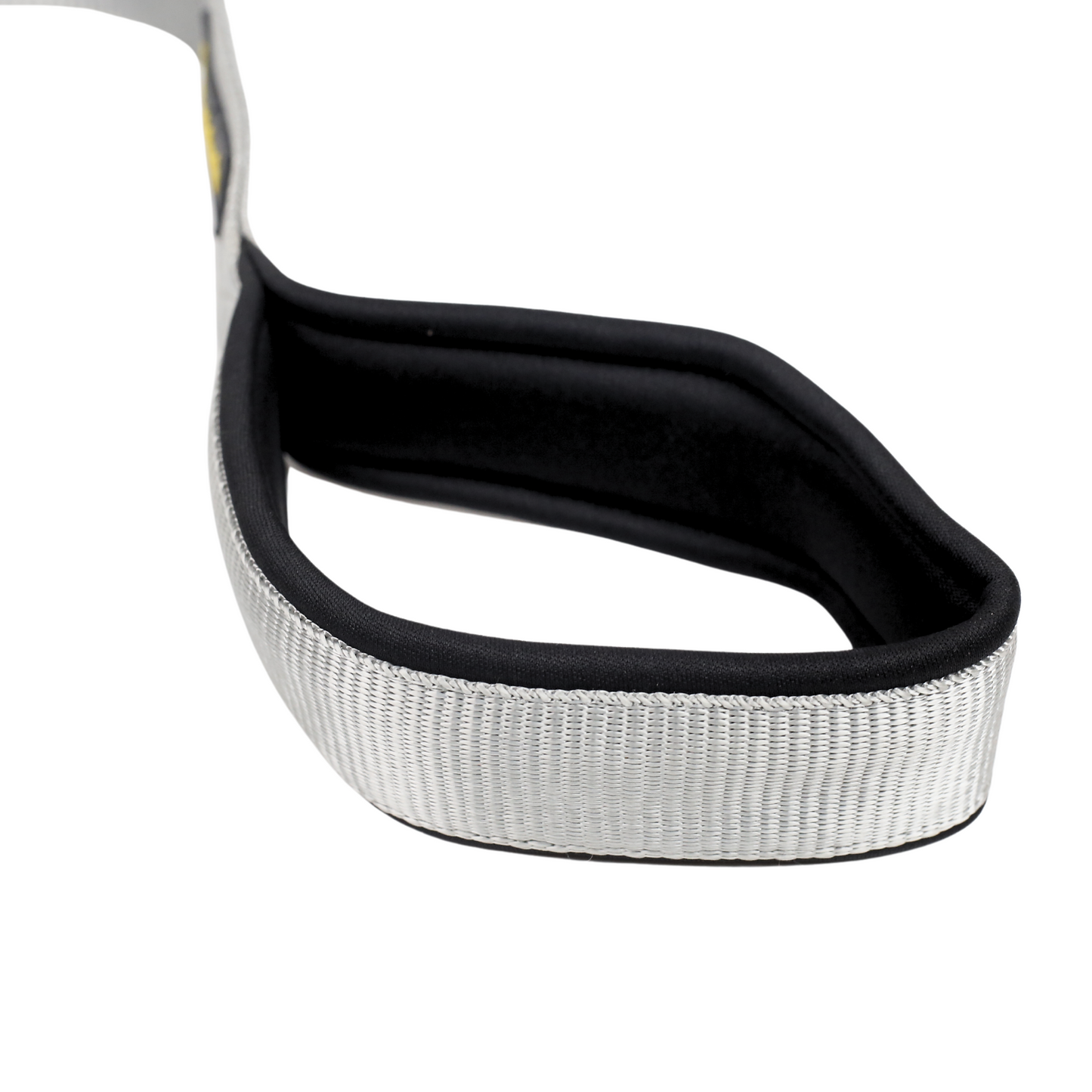 Petblush Classic Double Stitched Padded Handle Leash