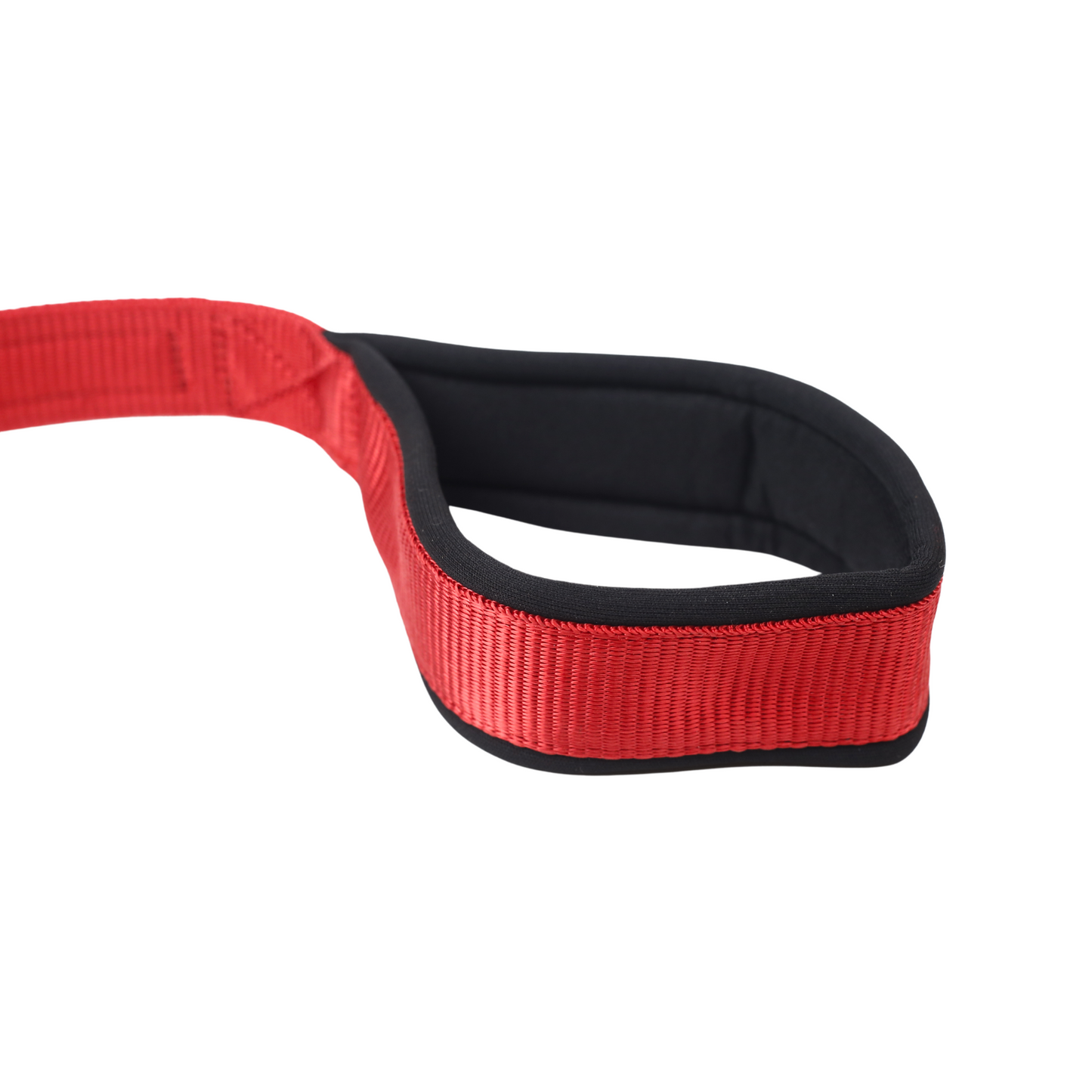 Petblush Classic Double Stitched Padded Handle Leash