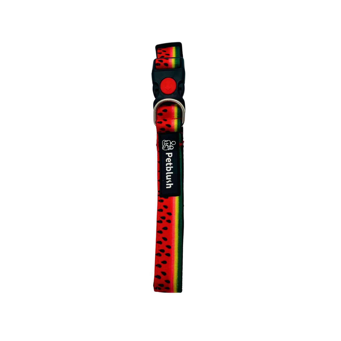 Petblush Watermelon Print Padded Collar