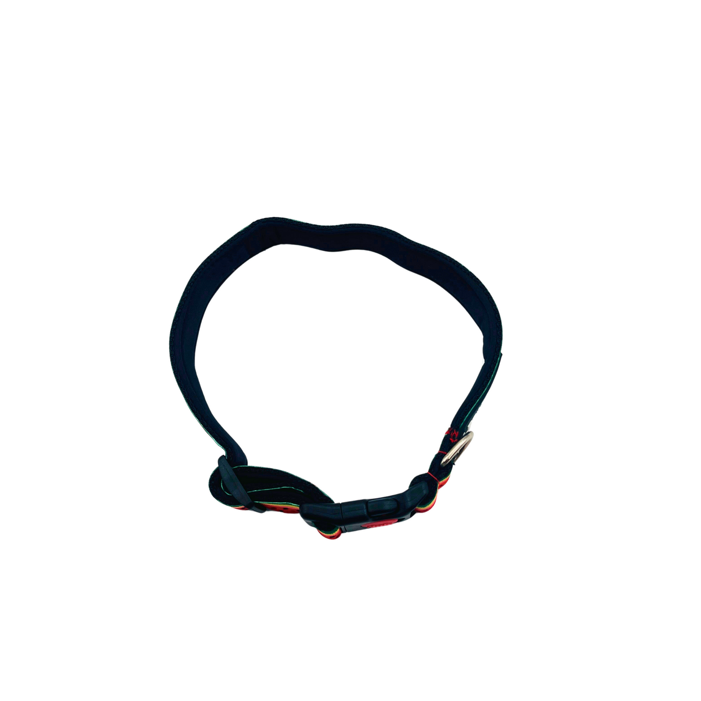 Petblush Watermelon Print Padded Collar