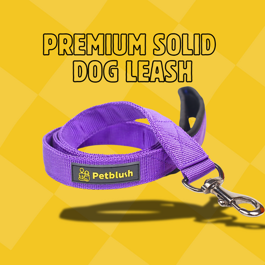 Petblush Premium Solid Leash With Padded Handle for Dogs