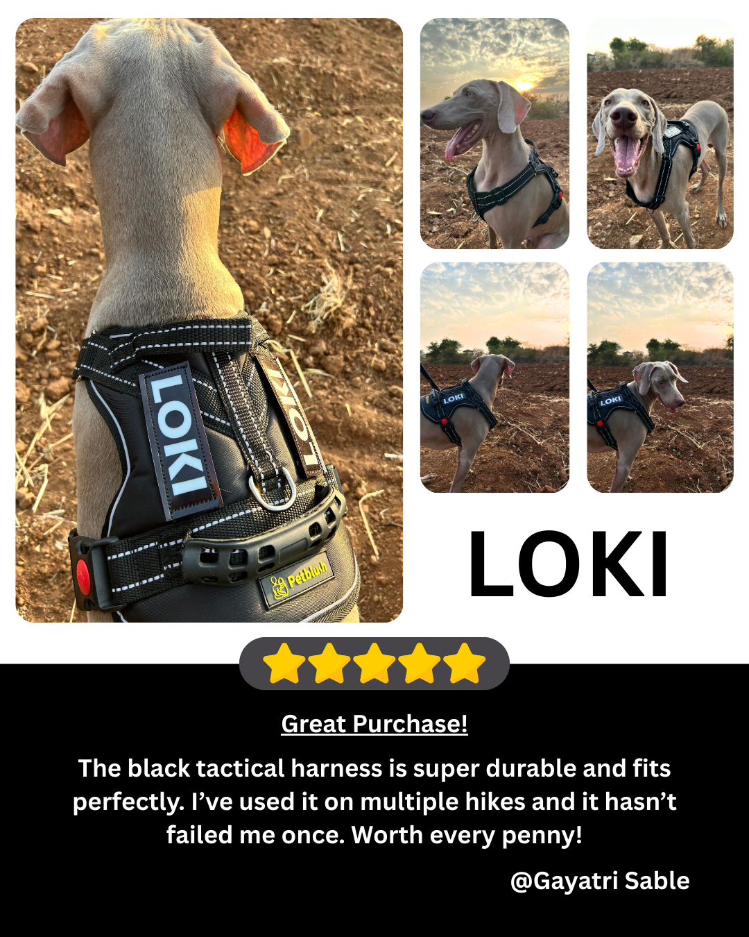 Petblush Tactical Harness for Dogs