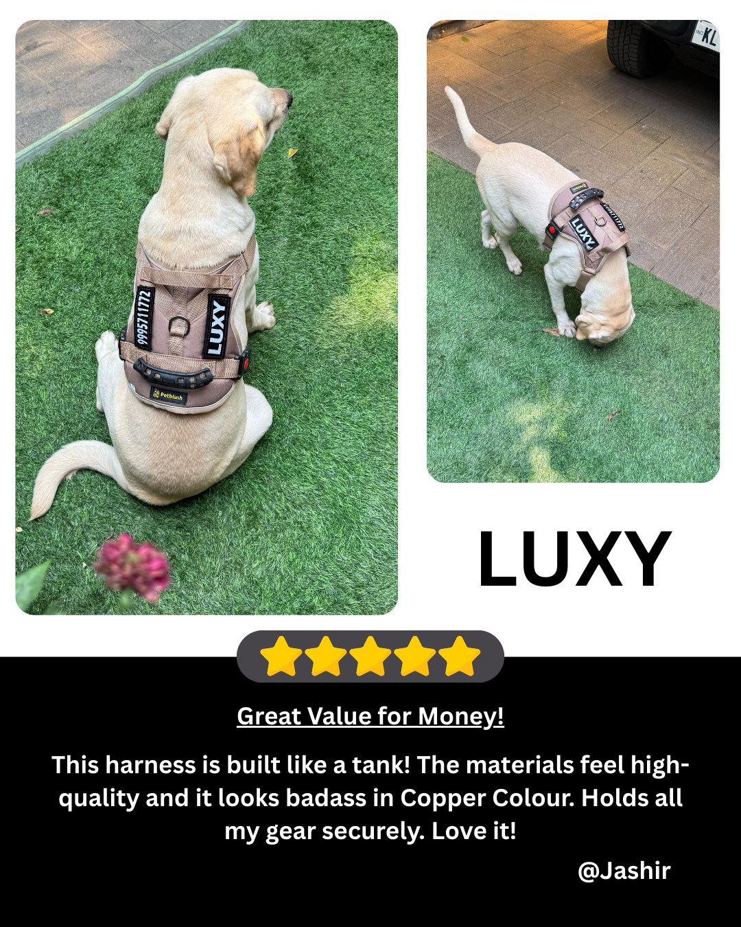 Petblush Tactical Harness for Dogs