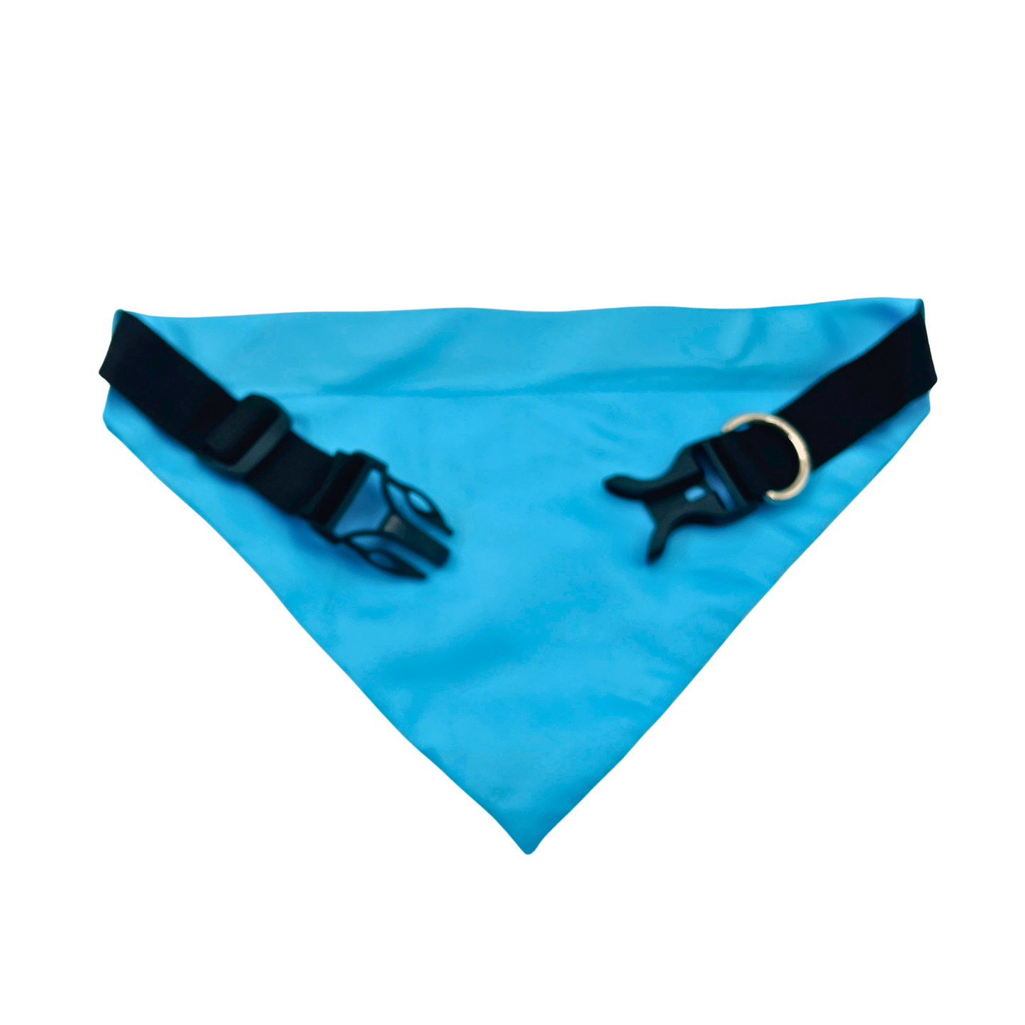 Petblush Birthday Boy Paw Print Bandana for Dogs