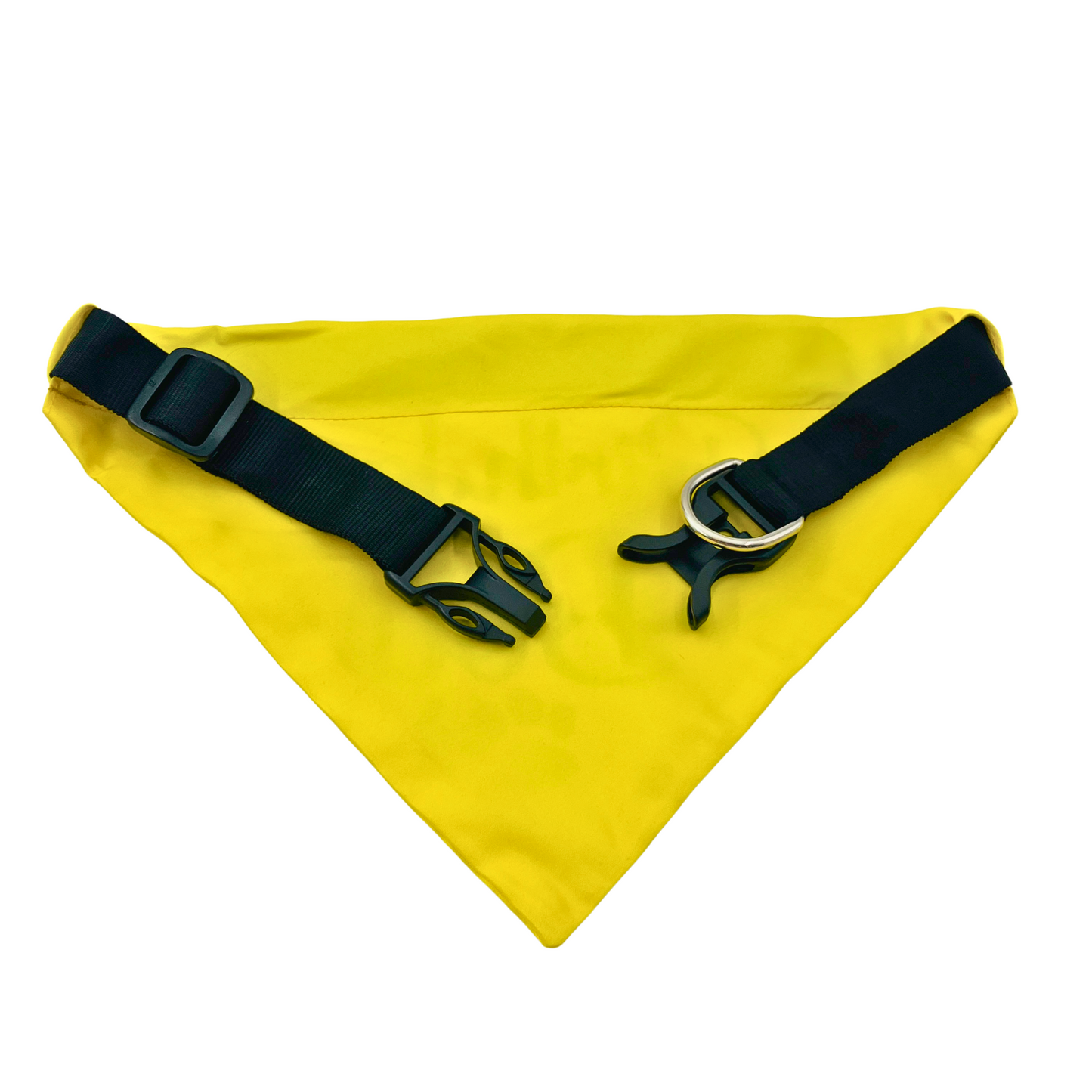 Petblush Birthday Boy Paw Print Bandana for Dogs