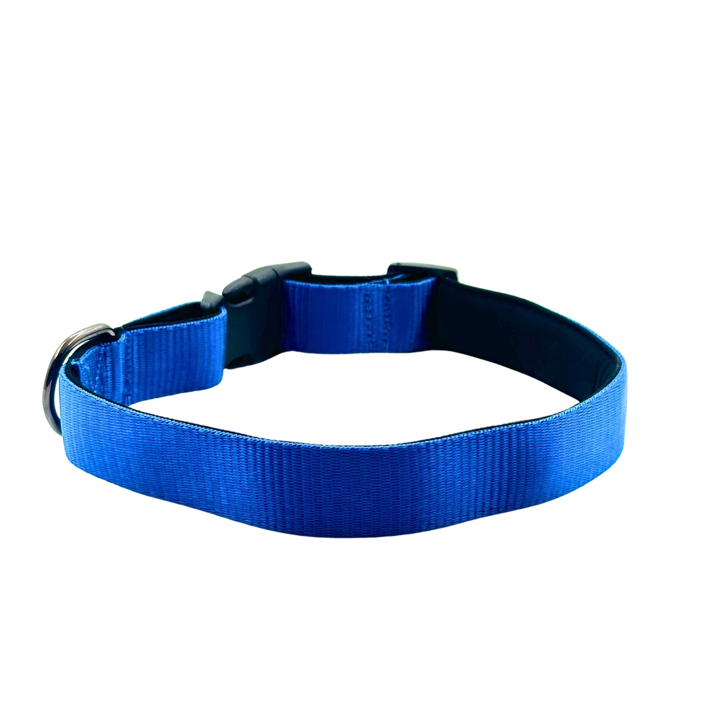 Petblush Bold Padded Collars with Lock Buckle