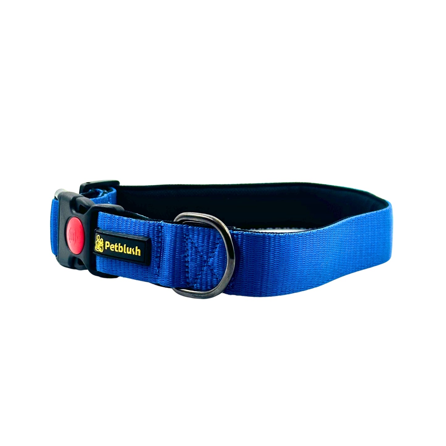 Petblush Bold Padded Collars with Lock Buckle